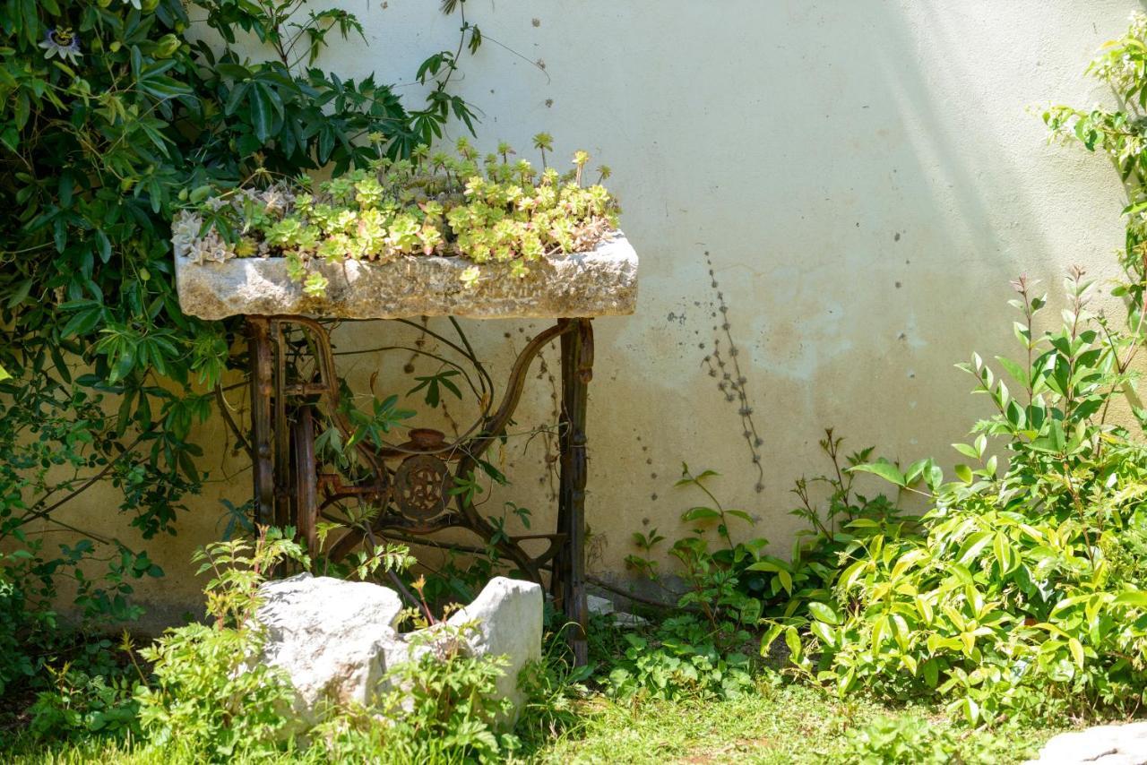 Apartment Ilko Dubrownik Zewnętrze zdjęcie
